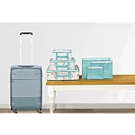Set Cutii pentru Calatorie Bebe, 5 Bucati, 3 Cutii, 3 Portofele